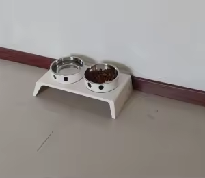 Elevated Double Feeding Bowl