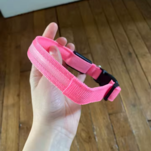 USB Rechargeable LED Glow Collar