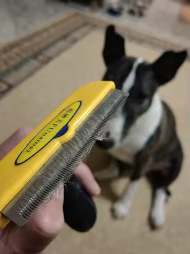 Pet Deshedding Brush