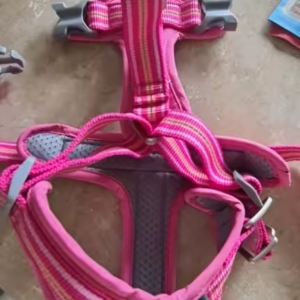 Quick-Release Dog Harness