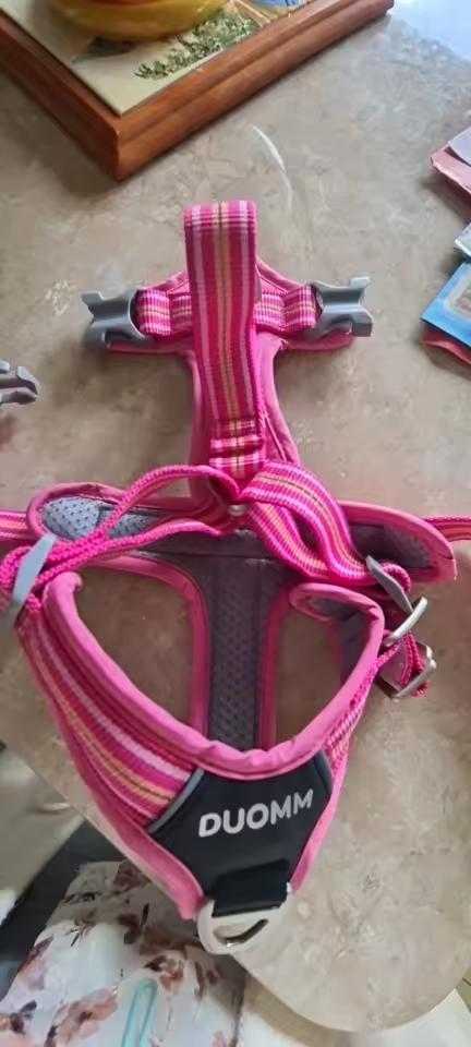 Quick-Release Dog Harness